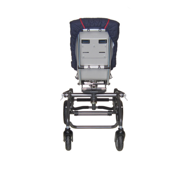 rotating buggy for disabled child